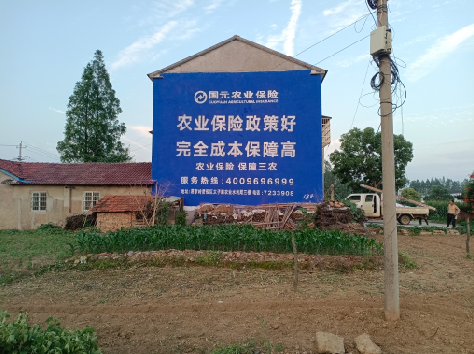 上饶墙体广告的优劣势你知道吗？